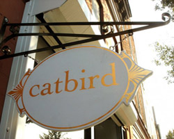 Catbird